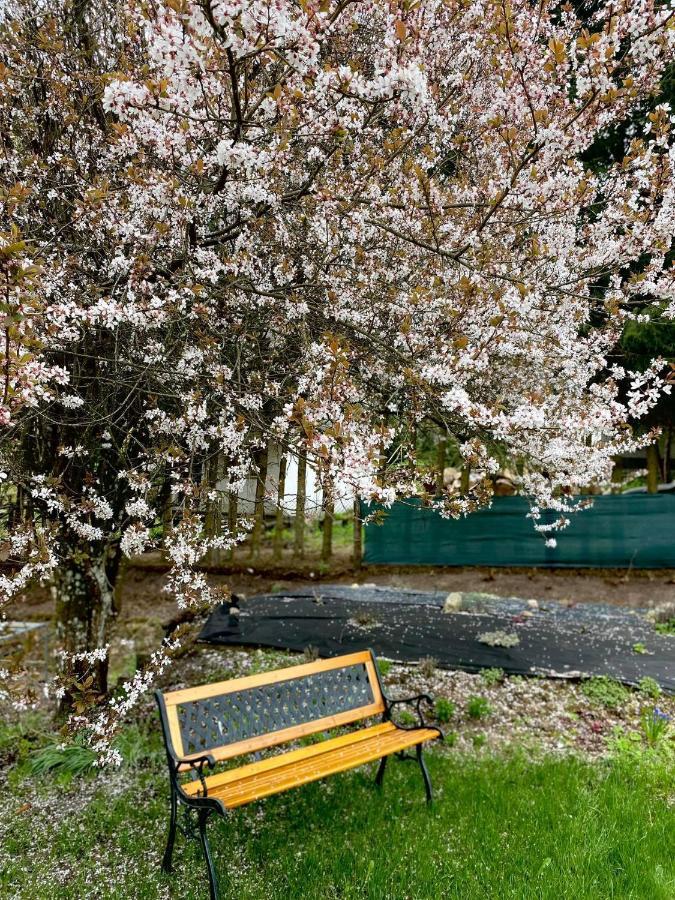 Campingplatz Alex *